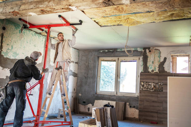 Best Insulation Maintenance and Repair in Kemah, TX
